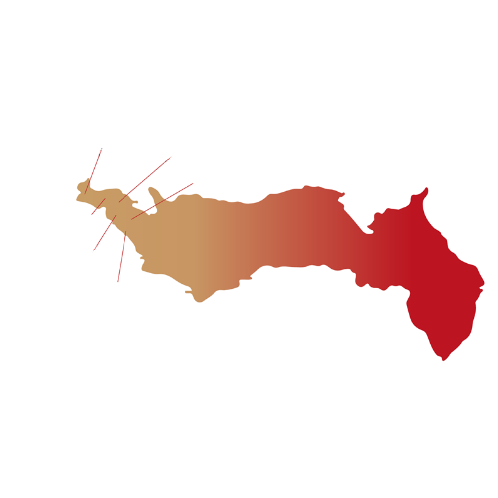 Storica giostra polesana degli anni '50